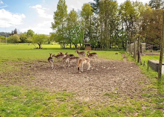 Apartament Gaestehaus Muehlenhof - Dornfelder