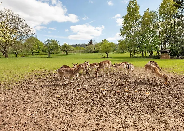 Apartament Gaestehaus Muehlenhof - Dornfelder